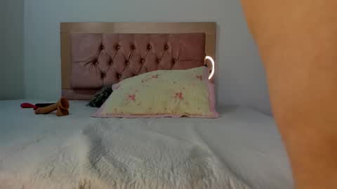 Snapshot of silvana_wenz chatting on January 2025 03:16:01 PM Silvana online show from January 2025 03:16:01 PM