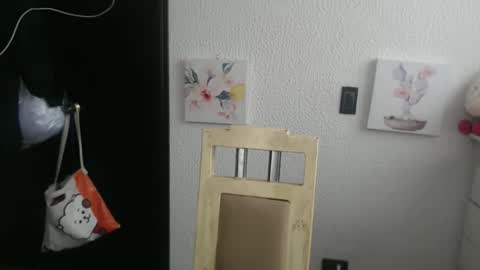 Snapshot of silvanaroberts_ chatting on January 2026 04:22:01 PM Rouse online show from January 2026 04:22:01 PM