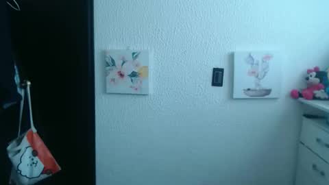 Snapshot of silvanaroberts_ chatting on January 2026 07:11:01 PM Rouse online show from January 2026 07:11:01 PM