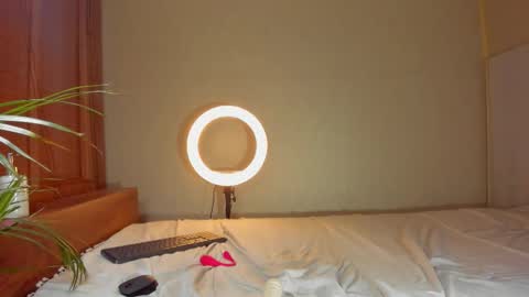 Snapshot of silverhase1 chatting on February 2026 04:24:01 AM silverhase1 online show from February 2026 04:24:01 AM