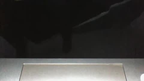 Silverhawk06 online show from December 2025 02:20:02 AM