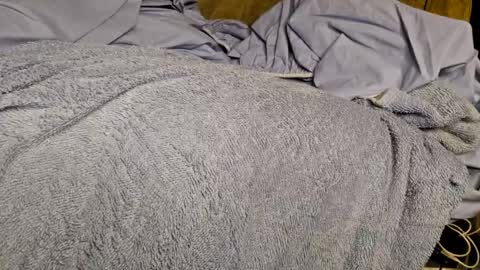 Sinseason online show from December 2024 09:22:01 AM