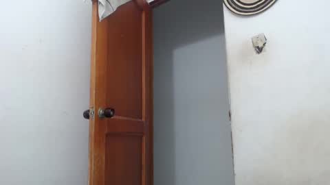 sirajones online show from March 2025 02:30:02 AM