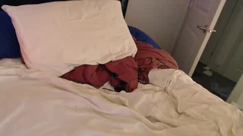 Snapshot of sirbeercan chatting on March 2025 05:54:01 AM sir beer can the friendly hermit online show from March 2025 05:54:01 AM