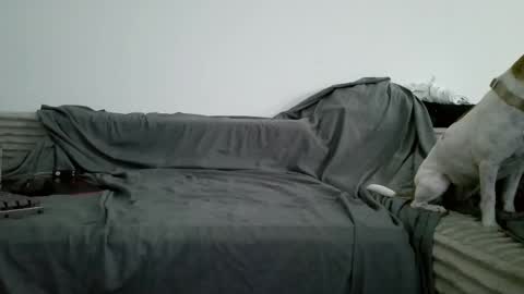 Snapshot of sircheese69x2 chatting on June 2026 08:19:01 AM sircheese69x2 online show from June 2026 08:19:01 AM