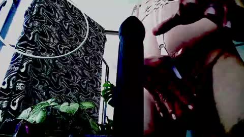 siren ika666 online show from May 2026 05:53:02 PM