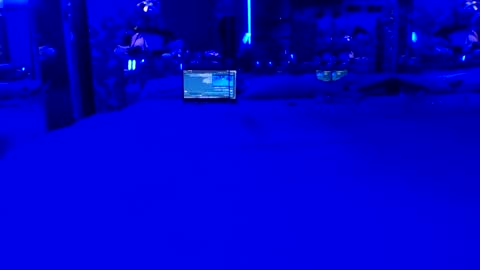 siss11 online show from May 2026 06:42:01 AM
