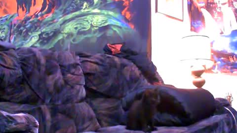 Snapshot of six_will_do chatting on January 2025 05:05:02 AM Jimmy B online show from January 2025 05:05:02 AM