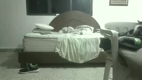 skanky_little_dolls online show from November 2025 08:05:01 AM