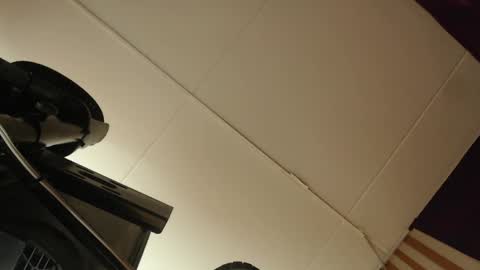 skarlettbarnes online show from May 2026 11:40:01 AM