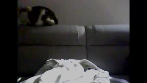 miguel online show from December 2024 04:09:01 AM