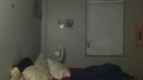 Snapshot of skater_v2 chatting on November 2025 06:55:01 AM Christopher online show from November 2025 06:55:01 AM