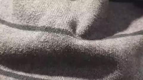 Snapshot of skeetzmgee chatting on November 2025 05:57:01 PM skeetzmgee online show from November 2025 05:57:01 PM