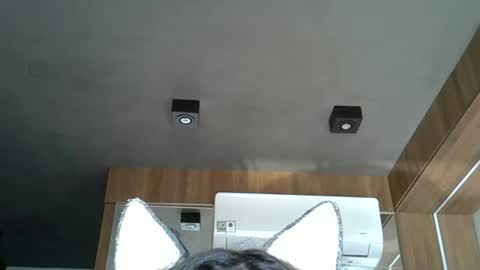 skinnykittencam online show from October 2025 06:43:01 PM