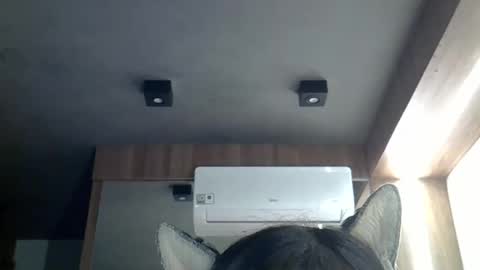 Snapshot of skinnykittencam chatting on March 2026 11:06:01 AM skinnykittencam online show from March 2026 11:06:01 AM