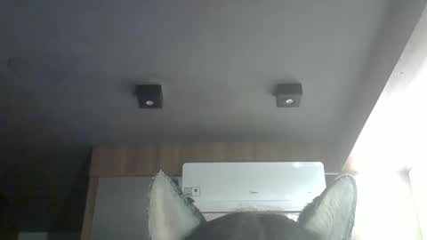 Snapshot of skinnykittencam chatting on March 2026 09:26:01 AM skinnykittencam online show from March 2026 09:26:01 AM