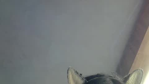 Snapshot of skinnykittencam chatting on March 2026 09:48:02 AM skinnykittencam online show from March 2026 09:48:02 AM