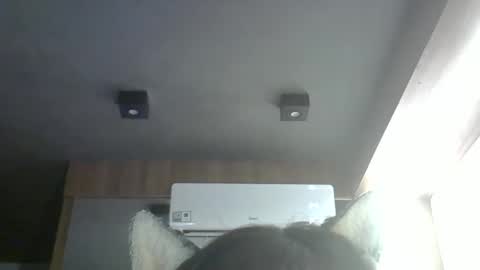 Snapshot of skinnykittencam chatting on March 2026 05:51:02 PM skinnykittencam online show from March 2026 05:51:02 PM
