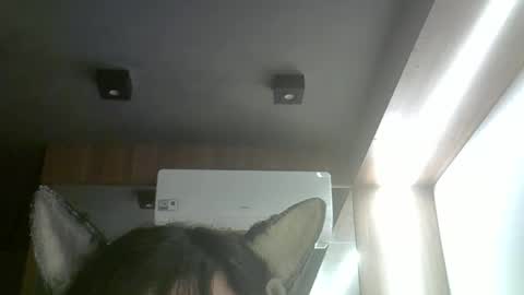 Snapshot of skinnykittencam chatting on March 2026 08:37:02 AM skinnykittencam online show from March 2026 08:37:02 AM
