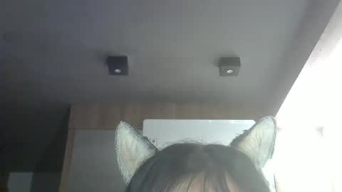 Snapshot of skinnykittencam chatting on March 2026 04:01:02 AM skinnykittencam online show from March 2026 04:01:02 AM