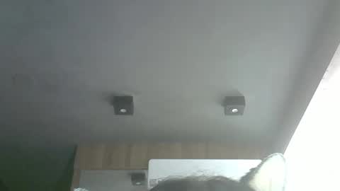 Snapshot of skinnykittencam chatting on March 2026 04:34:02 AM skinnykittencam online show from March 2026 04:34:02 AM