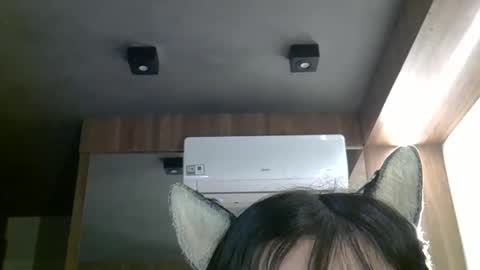 Snapshot of skinnykittencam chatting on April 2026 03:31:02 PM skinnykittencam online show from April 2026 03:31:02 PM