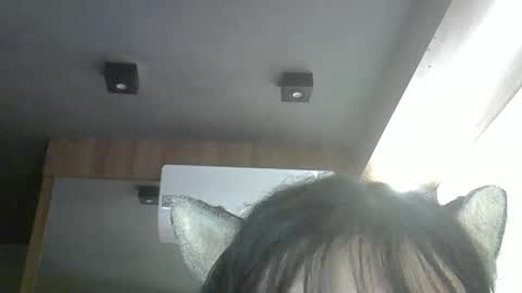 Snapshot of skinnykittencam chatting on April 2026 03:01:01 AM skinnykittencam online show from April 2026 03:01:01 AM