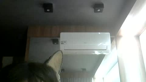 Snapshot of skinnykittencam chatting on June 2026 11:35:02 PM skinnykittencam online show from June 2026 11:35:02 PM