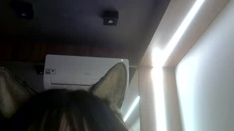 Snapshot of skinnykittencam chatting on July 2026 02:09:01 AM skinnykittencam online show from July 2026 02:09:01 AM
