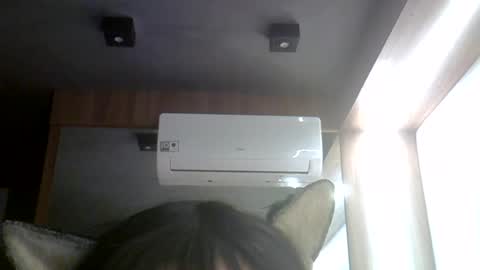 Snapshot of skinnykittencam chatting on July 2026 05:22:01 PM skinnykittencam online show from July 2026 05:22:01 PM