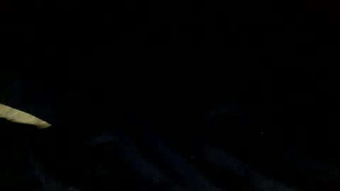 skinnypole6 online show from December 2024 06:06:01 PM