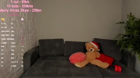 Snapshot of skye_shy chatting on December 2024 04:43:01 PM Skye online show from December 2024 04:43:01 PM