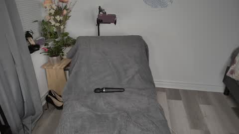 Snapshot of skylar_bird chatting on February 2025 04:27:01 AM skylar bird online show from February 2025 04:27:01 AM