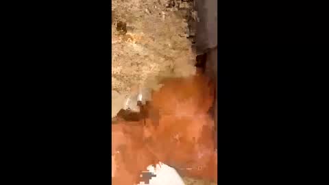 Snapshot of slapaho666 chatting on October 2025 03:03:02 AM slapaho666 online show from October 2025 03:03:02 AM