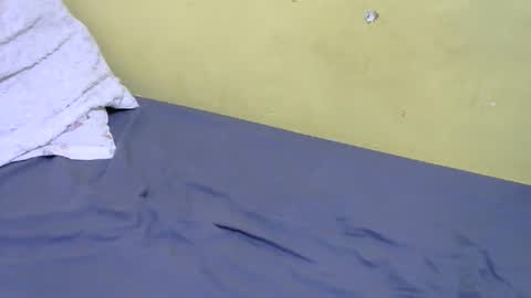 slim_bonny254 online show from December 2025 09:26:01 AM