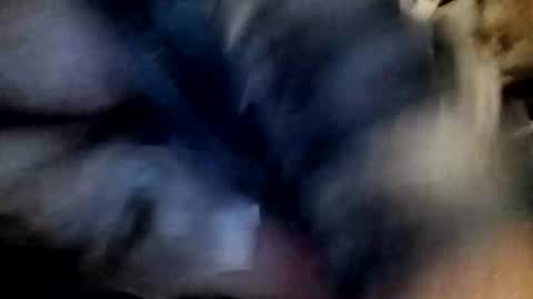 slutbreeze101 online show from February 2026 03:59:02 AM