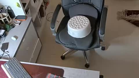 sluttygina1 online show from January 2025 02:53:02 PM