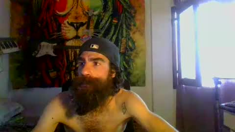 willy online show from December 2024 08:49:01 AM