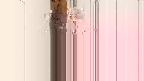 smilehiguy online show from January 2025 04:33:01 AM