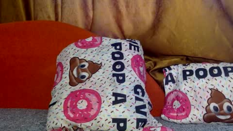 Noname online show from March 2026 01:41:01 PM