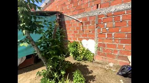 Snapshot of smith_oliver chatting on December 2024 05:01:01 PM Smith online show from December 2024 05:01:01 PM