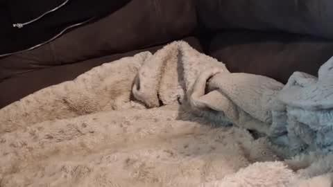 smitten_kitten1313 online show from February 2026 02:34:02 AM