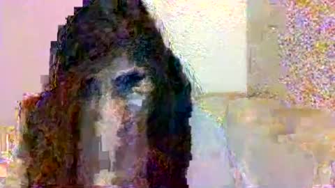 Snapshot of smurdle11 chatting on October 2025 03:29:01 PM smurdle online show from October 2025 03:29:01 PM