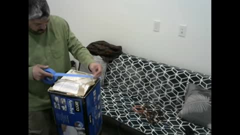 Snapshot of snizniz chatting on February 2025 06:30:01 AM snizniz online show from February 2025 06:30:01 AM