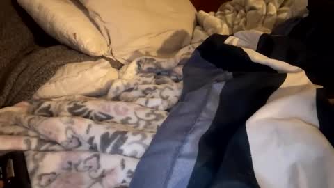 Lets play n party online show from January 2026 11:14:02 AM