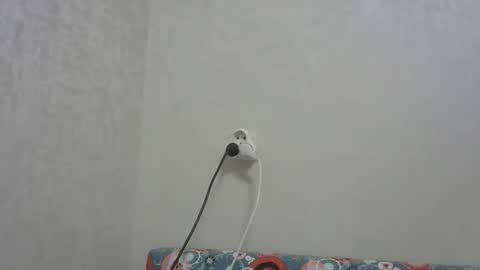 Arthur online show from December 2025 05:09:02 PM