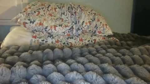 soccerstarnoww online show from January 2025 10:00:02 AM