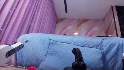 Sofia online show from June 2026 03:11:02 AM