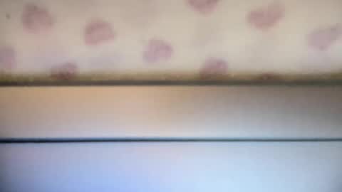 Snapshot of sofia8428 chatting on September 2025 10:01:02 PM sofia8428 online show from September 2025 10:01:02 PM