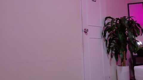 sofia__salazar online show from February 2026 11:48:01 AM